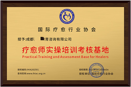 授权合作机构29